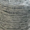 factory supply gi barbed wire / barb wire fence yellow / weight barbed wire fence