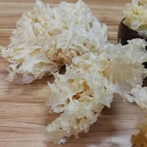 Factory Wholesale Dried White Fungus High Quality Snow Ear Fungus