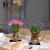 Import Fashim Metal Flower Vases Gold Color for Wedding Home Decoration from China