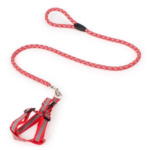 Fashion innovative pet products durable dog training leash and collar