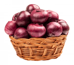 Finest Quality Organic Onions for Wholesale Prices in Bulk Quantities Onion Exporters From Pakistan