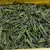 Import First Quality Deep Dark Green Fresh Frozen Green Asparagus Prices from China