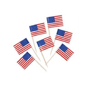 Food picks cocktail toothpicks will all national flags