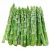 Import Fresh Asparagus,Asparagus vegetables,Fresh green asparagus from Canada