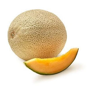 Fresh Cantaloupe for sale , ready to export from egypt , melon fruit