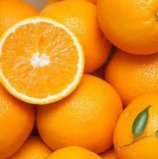 Fresh Citrus Fruits, Fresh Mandarin Oranges, Valencia Oranges & Lemons High Quality.