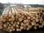 Import Fresh Cut Pine / SYP Logs, All Sizes, Regular Shipments from Spain