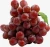 Import Fresh Grape from South Africa