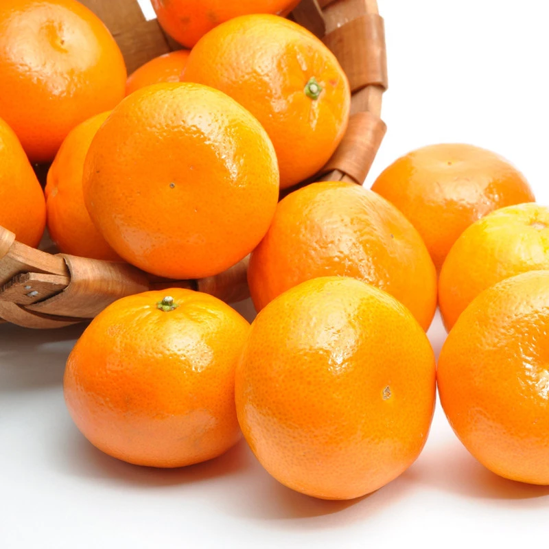 fresh mandarin orange fruit/Nanfeng baby mandarin orange