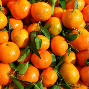 fresh mandarin orange fruit/organic lime