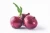 Import Fresh Onion Red Onion  High Quality Best Price from China
