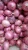 Import Fresh Red Onion Vegetables from China