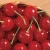 Import Fresh Sweet Cherries / Fresh Cherry Fruit /Red Cherry for Sale from Canada