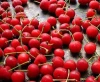 Fresh Sweet Cherry / Fresh Cherry Fruit /Red Cherry for Sale