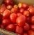 Import Fresh Tomatoes, Sweet Mediterranean Red Tomatoes, 2019 Harvest. from Canada