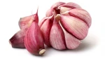 Fried Garlic Flavouring Food Grade - Fried Garlic Flavor