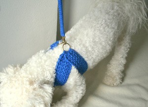 Friendly Dog Collar And Matching Leash Crochet Leather Dog Leash Cotton Pet Harness