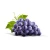 Import Frozen and Fresh  Seedless Grapes from  South African from South Africa