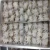 Import Frozen Baby Octopus from USA