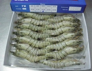 Frozen Black Tiger Shrimp/ Vannamei Shrimp HOSO
