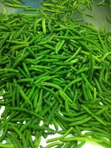 frozen green beans cut IQF green bean whole cut on sale in China