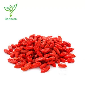 Fruit extract wolfberry fruit extract powder