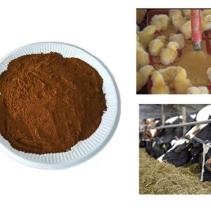 Fulvic Acid in Animal feed supplier