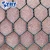 Import galvanized hexagonal wire netting/ hexagonal wire mesh/chicken wire mesh 2015 Plastic Coated Hexagonal Wire Netting for sale from China