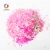 Import GH8078R Wholesale Red Rainbow Glitter Products PET Butterfly Shaped Art Supplies Glitter Powder For Christmas Decoration from China