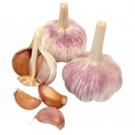Global Gap Approved China/Chinese Fresh Normal White Garlic for Sale Indonesia