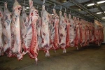 Goat 6 way cut skin off, 10~17kg
