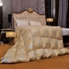 Golden Luxury European-Style Bedding Duvet Blanket Queen Size Comforter Duvet Core 220x240 Bed Quilt