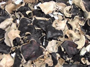Good Quality Organic Dried Black Fungus Mushroom