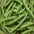 Import Green beans  Frozen Foods Frozen Vegetables Frozen Green from Germany