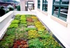 Green Roof Modular Green Roof SOL Rooftop Modular Planters Plant Pot Trays For Decor