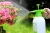 Import Hantechn Plastic Garden Agricultural pressure relief valve hand pump pressure spray bottle from China