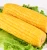Import Healthy Non-GMO Sweet Yellow Corn as Snacks from China