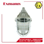 High pressure sodium lamp explosion proof lamp