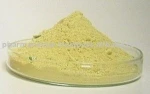 High Quality 100% Brazilian Green Propolis Extract Propolis Bee Powder