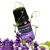 Import High Quality 15ml Pure Lavender Scents of and Essential Oil from China