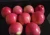 Import High Quality big size Fresh Qinguan apple from China