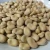 Import high quality Chinese dried broad fava beans from China