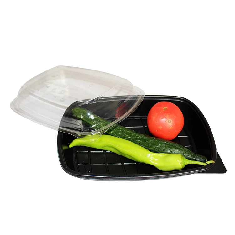 High Quality Disposable Plastic Fruit Packaging Container Take Away Fresh Keeping Food Packing Box