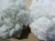 Import High Quality of Recycled/virgin Hollow Polyester Staple Fiber for 15D for sale from Philippines