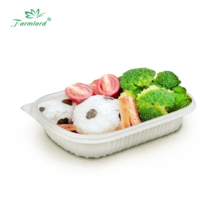 High Quality Plastic Food Containers Disposable Takeaway Disposable Plastic White Food Packaging Box