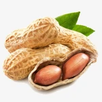 High Quality Raw Bold Peanuts - Runner Variety Peanut