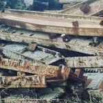HMS 1/Iron Scraps/Heavy Metal Scraps!