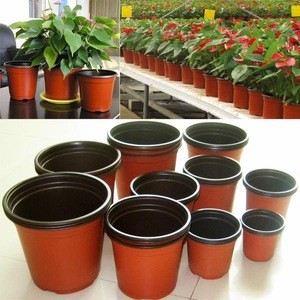Home &amp; garden red bonsai pots planters for wholesales