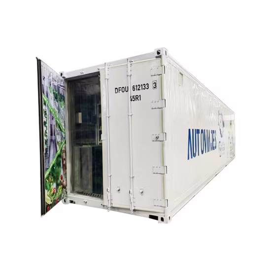 Import Hot Sale Mushrooms Hydroponic Shipping Container Farm Hydroponics Shipping Containers Mushrooms in Turkey from China
