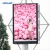 Hot selling LED displayled car rear window digital display with great price